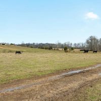 529 Acre Riverfront Resort images 4