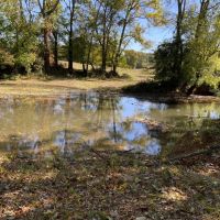 529 Acre Riverfront Resort images 5
