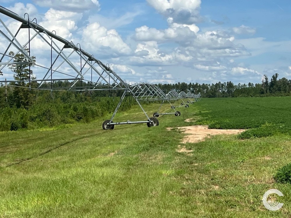 385 - Acre Rocky Creek Tract in Marianna FL featured image