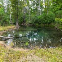 385 - Acre Rocky Creek Tract in Marianna FL images 4