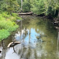 385 - Acre Rocky Creek Tract in Marianna FL images 5