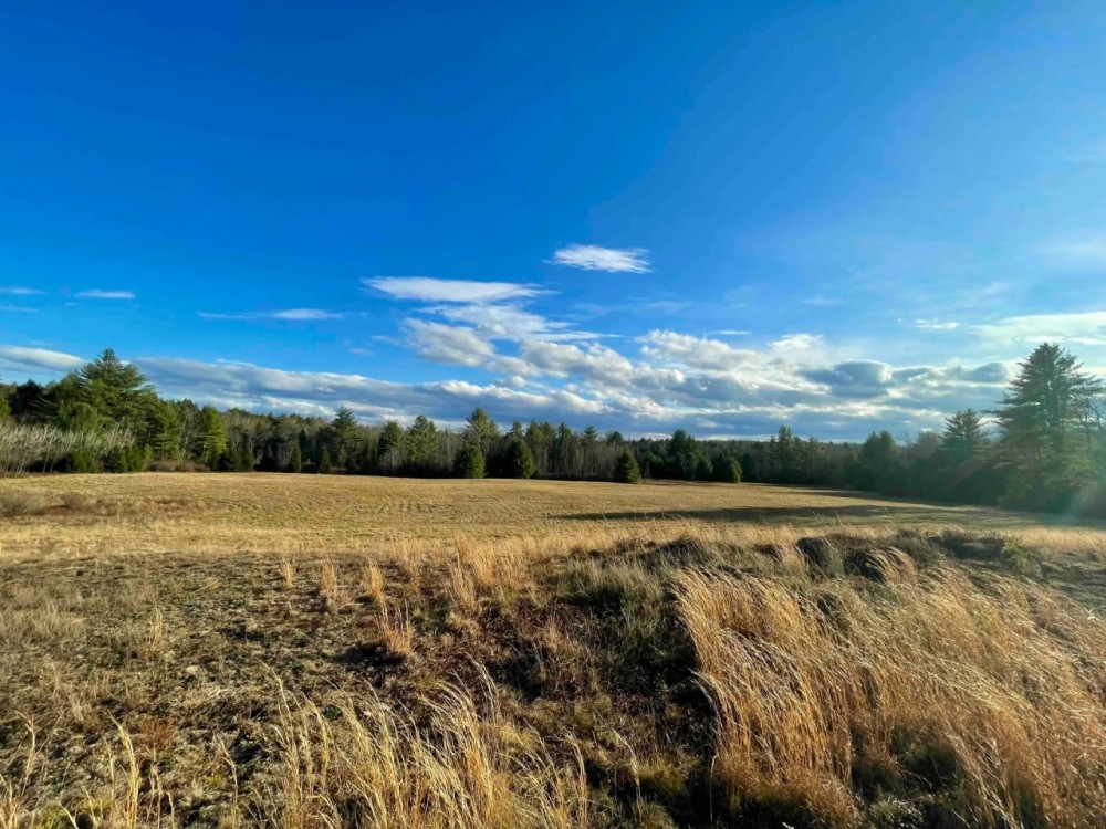 60 acres Woodlands and Open Meadows bordering Ulster Heights Lake in Ellenville NY Camp Road featured image