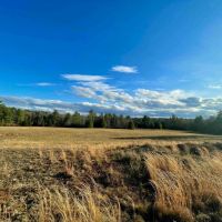 60 acres Woodlands and Open Meadows bordering Ulster Heights Lake in Ellenville NY Camp Road