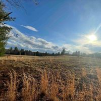 60 acres Woodlands and Open Meadows bordering Ulster Heights Lake in Ellenville NY Camp Road images 2
