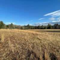 60 acres Woodlands and Open Meadows bordering Ulster Heights Lake in Ellenville NY Camp Road images 3