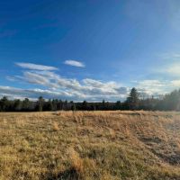60 acres Woodlands and Open Meadows bordering Ulster Heights Lake in Ellenville NY Camp Road images 4