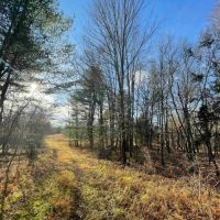 60 acres Woodlands and Open Meadows bordering Ulster Heights Lake in Ellenville NY Camp Road images 5