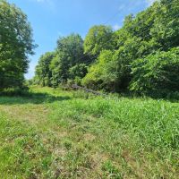 Baugh Hollow Rd Lot 1