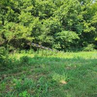 Baugh Hollow Rd Lot 1 images 3