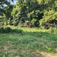 Baugh Hollow Rd Lot 1 images 4