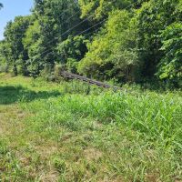 Baugh Hollow Rd Lot 1 images 5