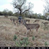 Murray Homestead images 2