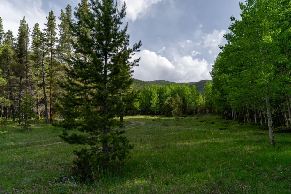 Tolland Ranch featured image