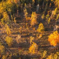 Hog Tom Hollow images 3