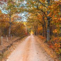 Hog Tom Hollow images 4