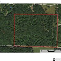 Hog Tom Hollow images 5