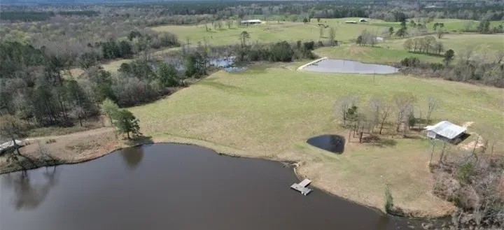 315 Acres in Jasper County in Pachuta MS featured image