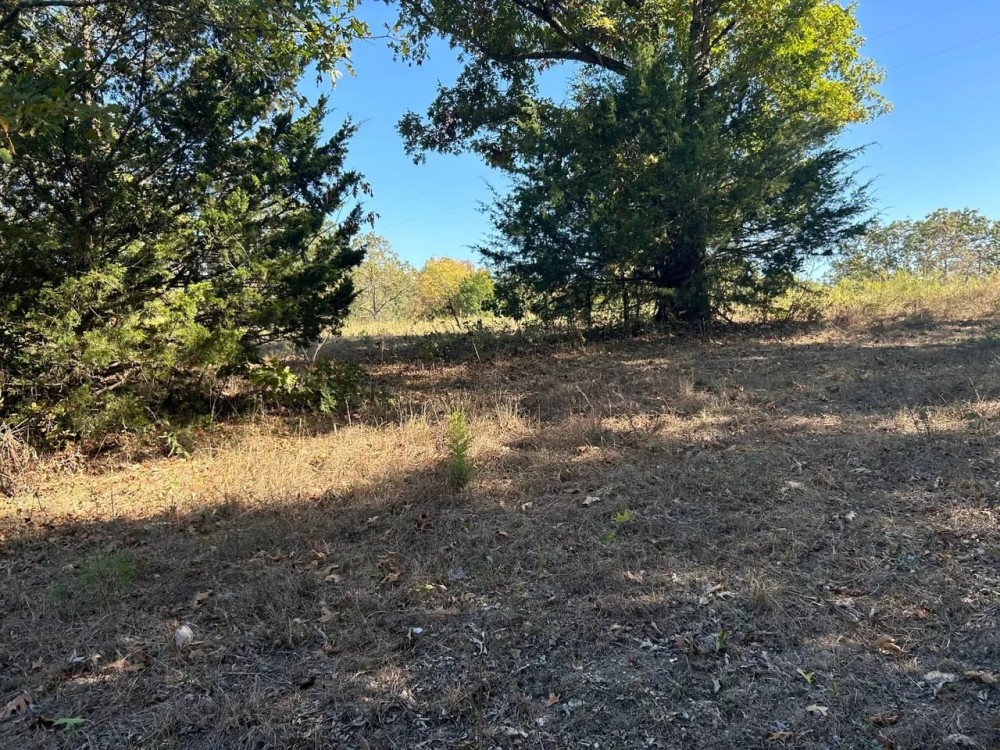 West Branch 40 featured image