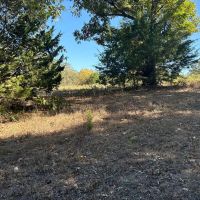 West Branch 40