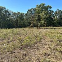 West Branch 40 images 2