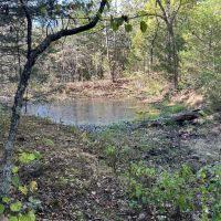 West Branch 40 images 3