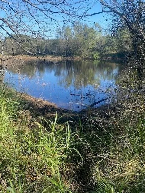 New Listing 319.484 - Acres Callahan County featured image
