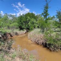 New Listing 319.484 - Acres Callahan County images 3