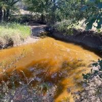 New Listing 319.484 - Acres Callahan County images 5