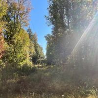 167.3 Acres in Carroll County in Carrollton MS images 1