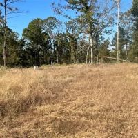 167.3 Acres in Carroll County in Carrollton MS images 4