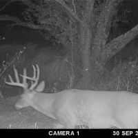 New Listing 100 - Acres Callahan County images 5