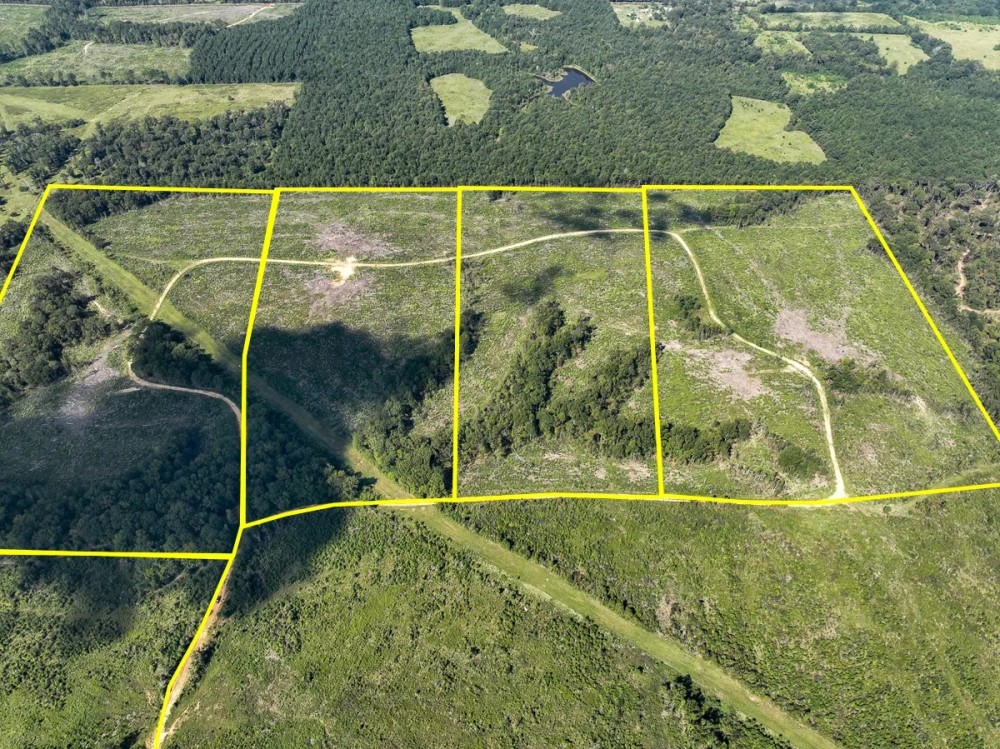55 Acres T-6 Off CR 4916 featured image