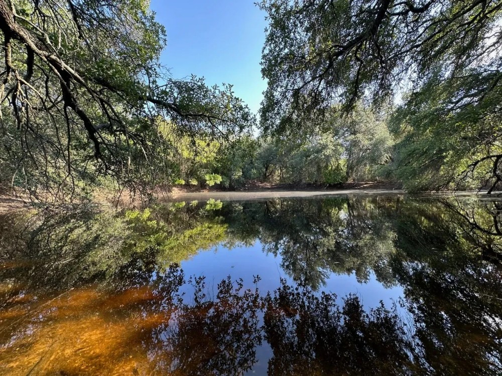 New Listing 17 - Acres Callahan County featured image