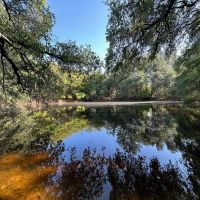 New Listing 17 - Acres Callahan County
