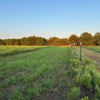 New Listing 17 - Acres Callahan County images 3