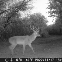 New Listing 17 - Acres Callahan County images 5