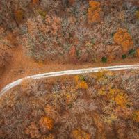 Land at Good News images 4