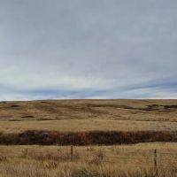 40 Acres - Land for Sale images 2