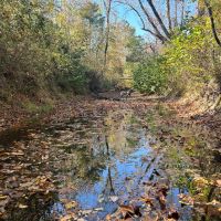 134 Acres in Union County MS