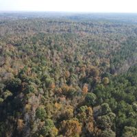 134 Acres in Union County MS images 2