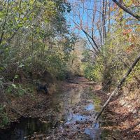 134 Acres in Union County MS images 3