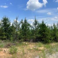 Fowlers Crossroads Tract