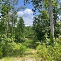 Fowlers Crossroads Tract images 4