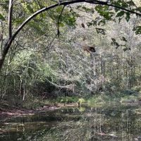 13 Acres with a Home in Newton County in Conehatta MS