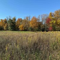 10.8 acre Building Lot and Recreational Land with Creek in Falconer NY Sprague Hill Rd Lot 5