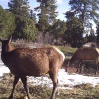 The Bluffs Ranch Lot 2 images 2
