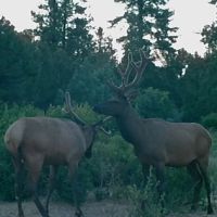 The Bluffs Ranch Lot 2 images 3