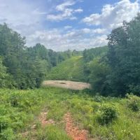 Boguefala Creek Tract