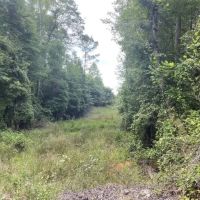 Boguefala Creek Tract images 3