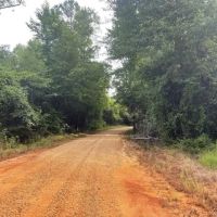Boguefala Creek Tract images 4